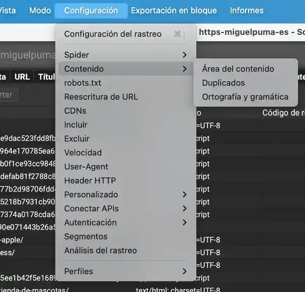 ortografía y gramática de tu sitio web